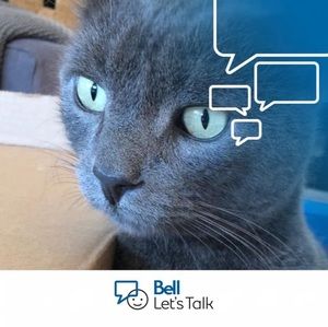 Meet your Posher, Joan